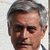 Dominique Van Huffel , Consul de Suède /Nantes