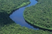 la forêt guyanaise