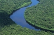 la forêt guyanaise